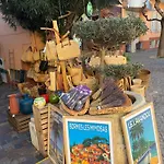 Mazet Avec Piscine Collective * Le Lavandou