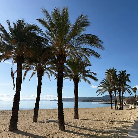 Mazet Avec Piscine Collective * Le Lavandou