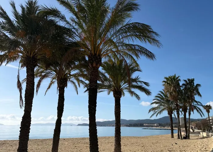 Mazet Avec Piscine Collective * Le Lavandou