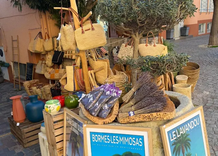 Mazet Avec Piscine Collective * Le Lavandou